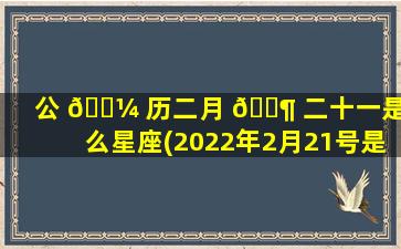 公 🐼 历二月 🐶 二十一是什么星座(2022年2月21号是什么星座)